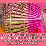 indoor vegetable factory in Japan