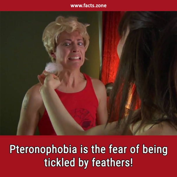 Pteronophobia