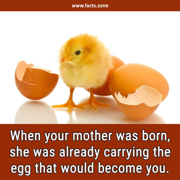 When your mother was born