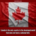 Canada's National Bird