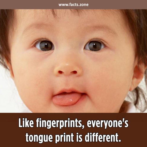 Every tongue print is different.