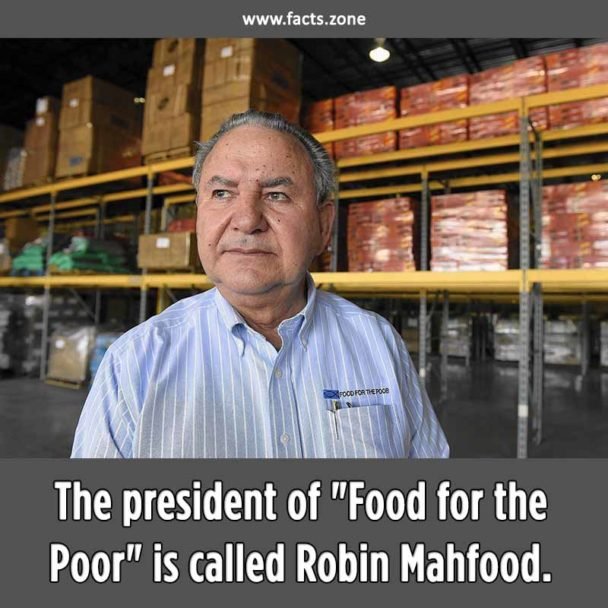 Robin Mahfood