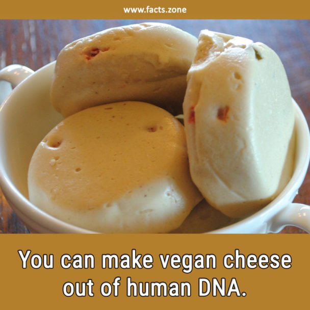 vegan cheese