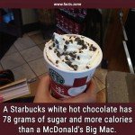 A Starbucks white hot chocolate