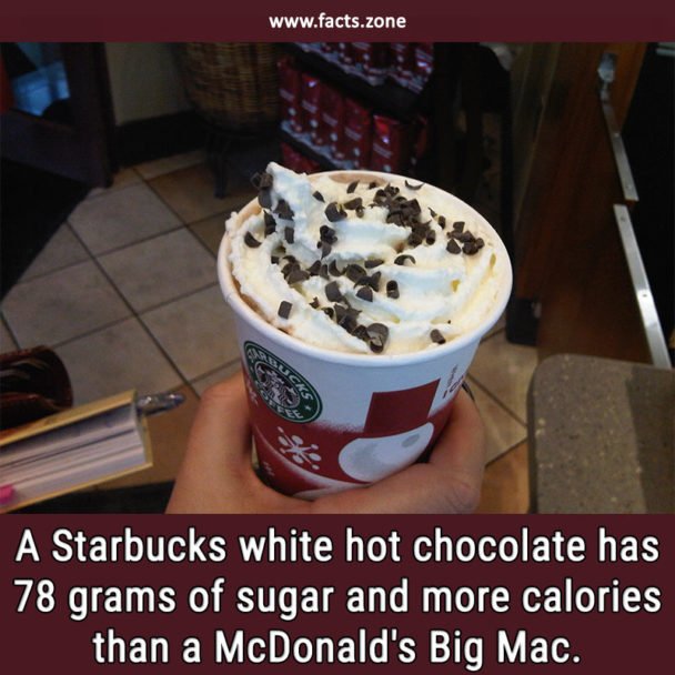 A Starbucks white hot chocolate