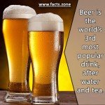 the world's 3rd most popular drink - BEER