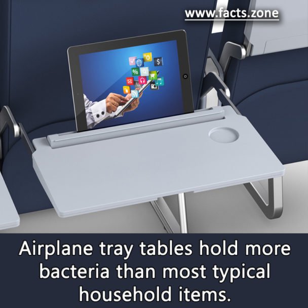 Bacteria in Airplane tray tables