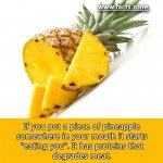 Pineapple has proteins that degrades meat.