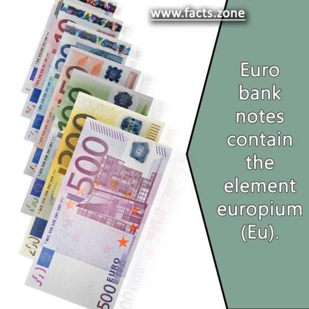 Euro banknotes