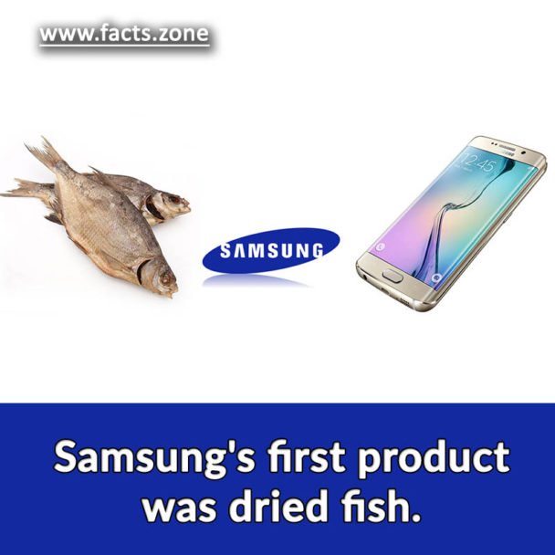 Samsung's first product
