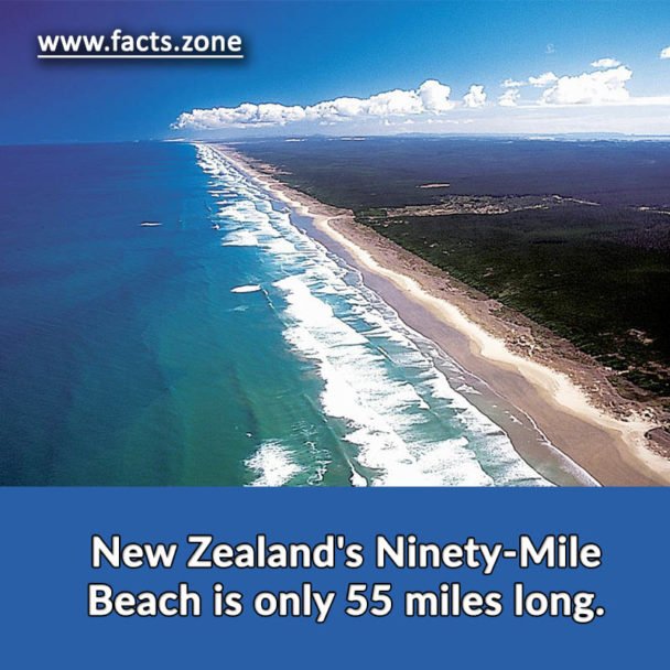 New Zealand's Ninety-Mile Beach