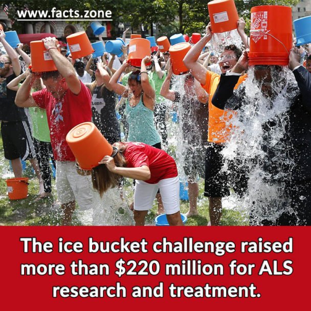 ice bucket challenge raised more than $220 million
