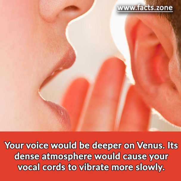 Your voice would be deeper on Venus.