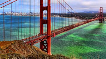 2% of people who jump off the Golden Gate Bridge survive the fall