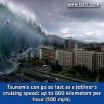 Tsunamis can go as fast as a jetliner's cruising speed