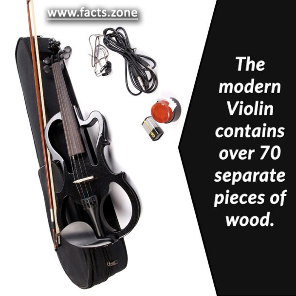 modern Violin