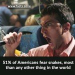51% of Americans fear snakes