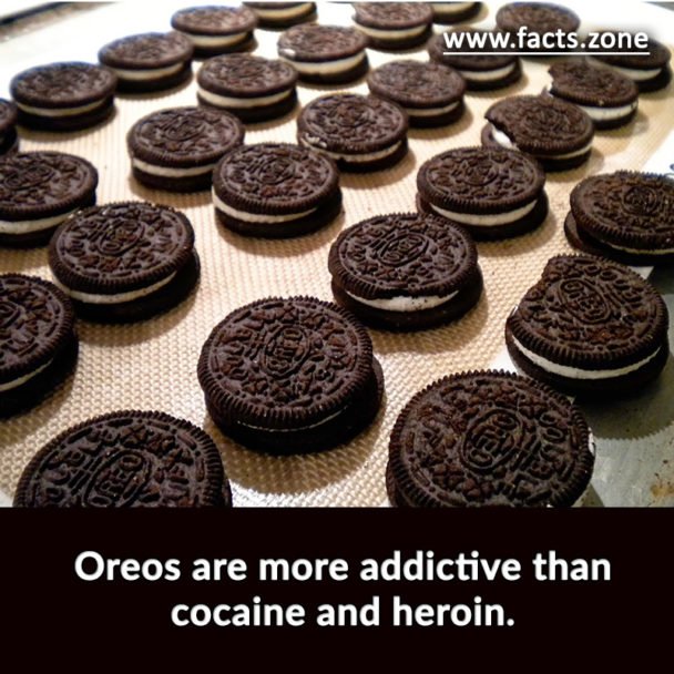Oreos are addictive