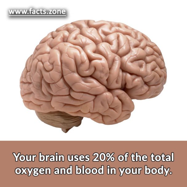 Your brain uses 20% of the total oxygen