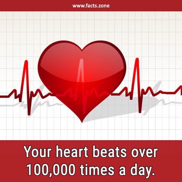 heart beats