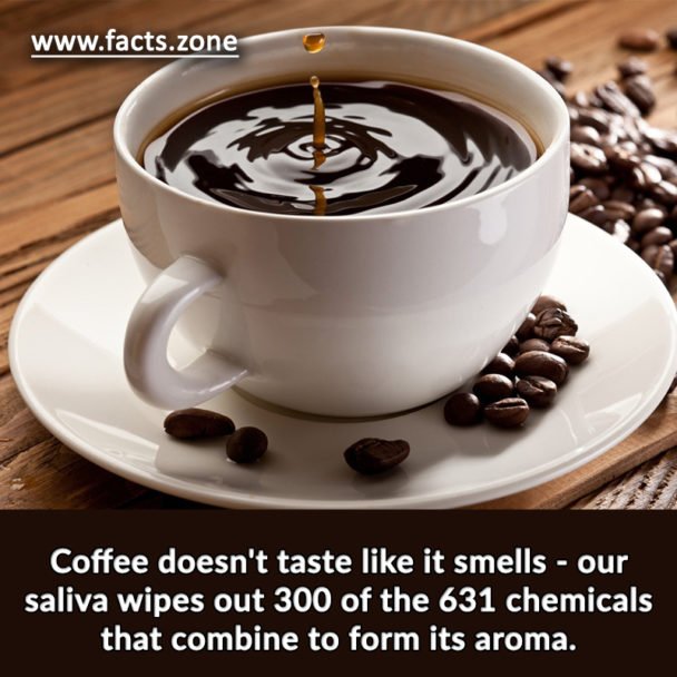 Coffee doesn't taste like it smells
