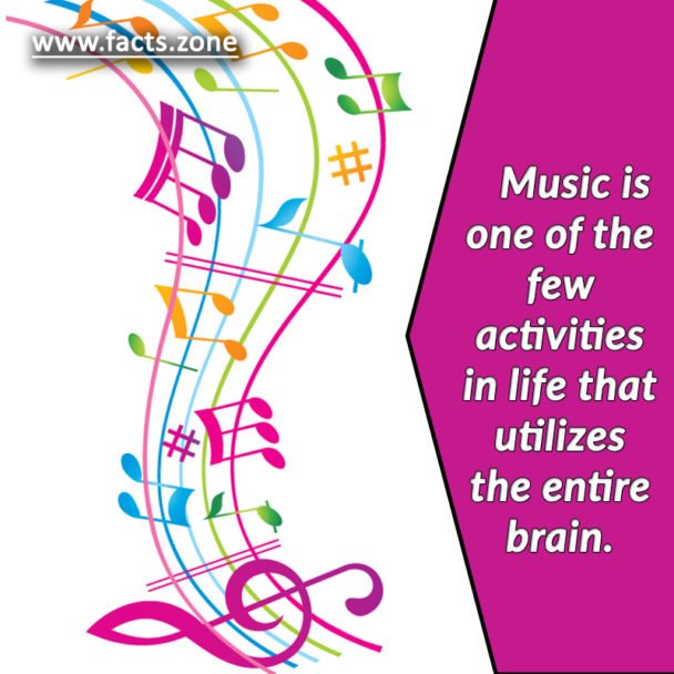 Brain utilizes the entire brain.