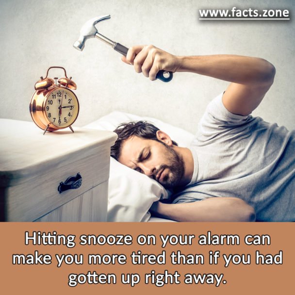 Hitting snooze on your alarm can make you more tired