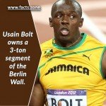 Usain Bolt