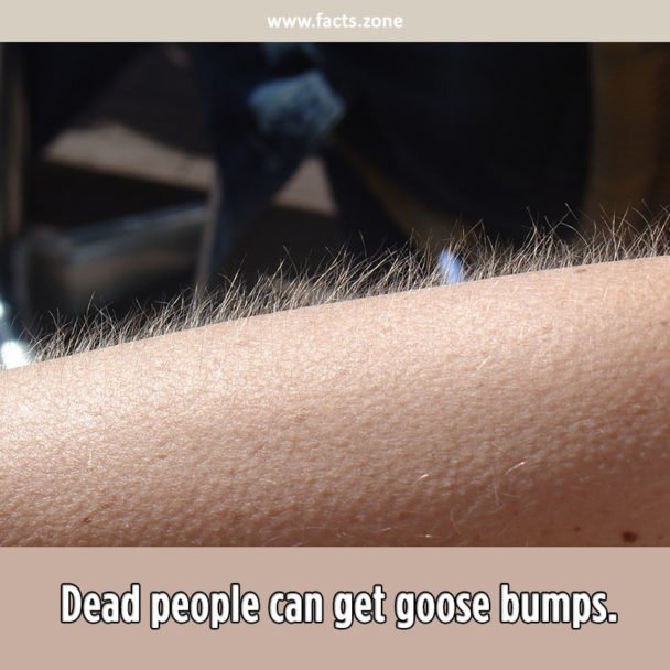 Goose Bumps