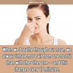 breathe through our nose