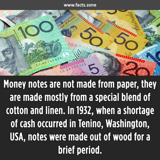 money notes