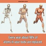 atoms in your body