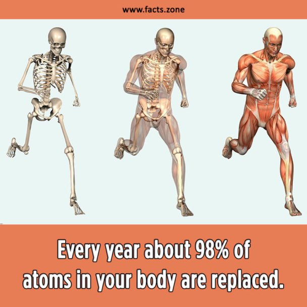 atoms in your body