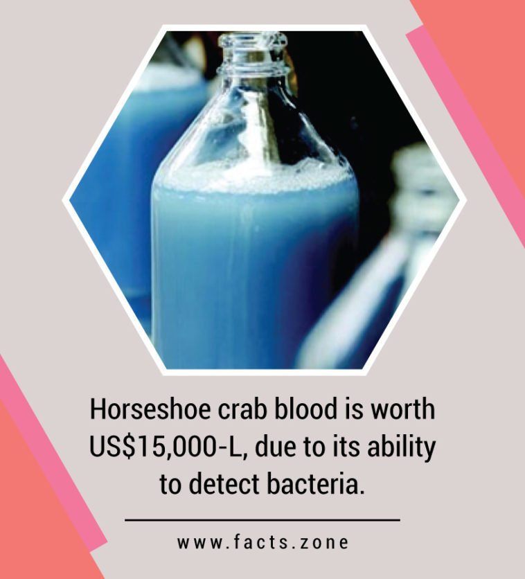 Horseshoe crab blood is worth US15,000L, due to its ability to detect