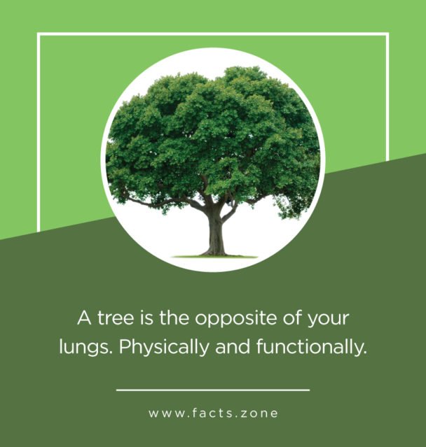 Physically and functionally