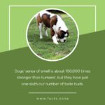 stronger than humans