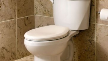 flush their toilets with seawater