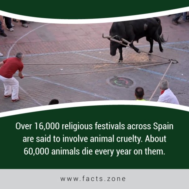 religious festivals