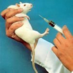 11.5 million animals were used in experiments