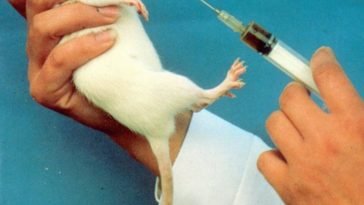 11.5 million animals were used in experiments