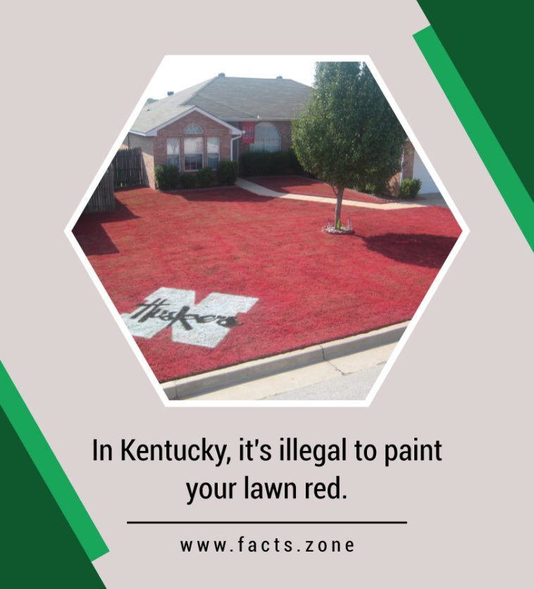 In Kentucky, it's illegal to paint your... • Facts Zone