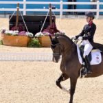 The horses in Olympic equestrian