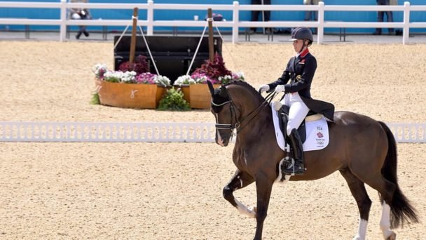 The horses in Olympic equestrian