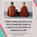 Tibetan monks practicing