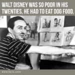 Walt Disney