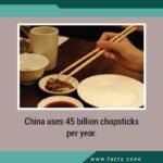chopsticks per year.