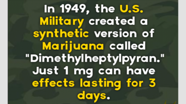 Marijuana, Dimethylheptylpyran