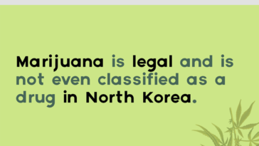 Marijuana is legal