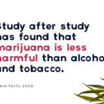 marijuana is less harmful