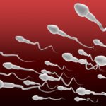 world's largest exporter of sperm